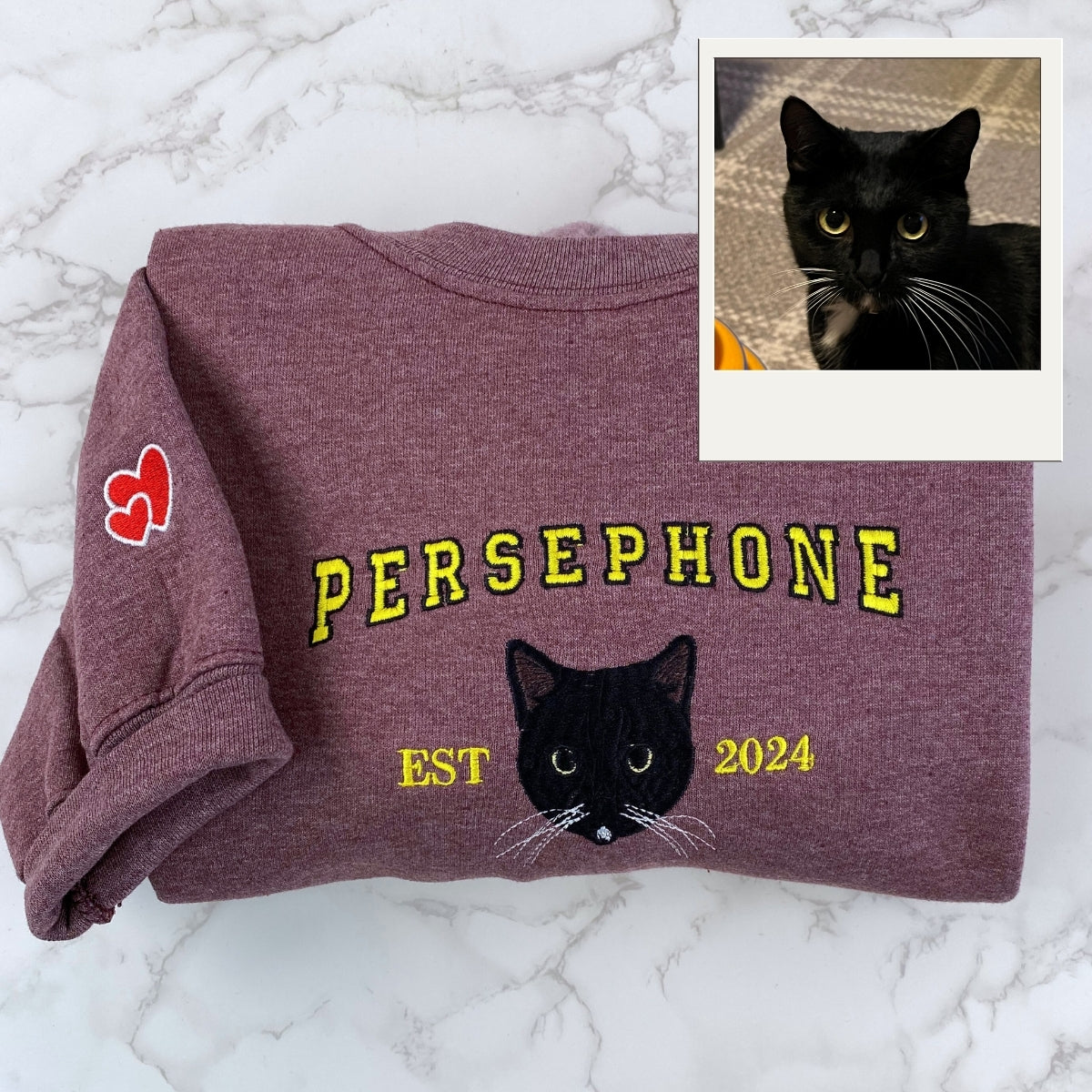 Custom Embroidered Varsity Cat Hoodie - Personalized Pet Name Cat Mom Gift