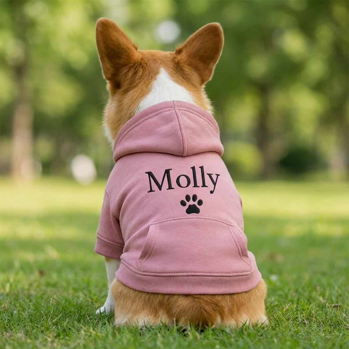 Custom Embroidered Pet Name Dog Hoodie - Personalized Puppy Apparel Gift
