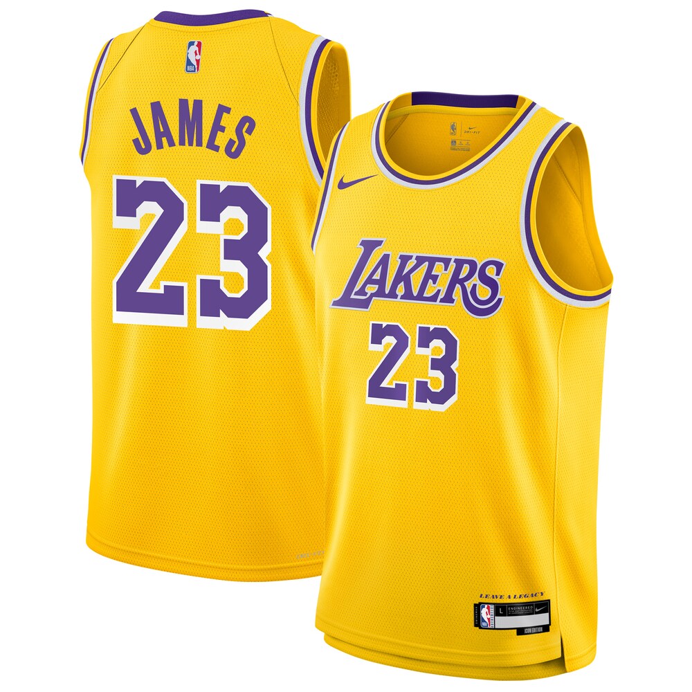 LeBron James Los Angeles Lakers Nike Youth Swingman Jersey - Icon ...