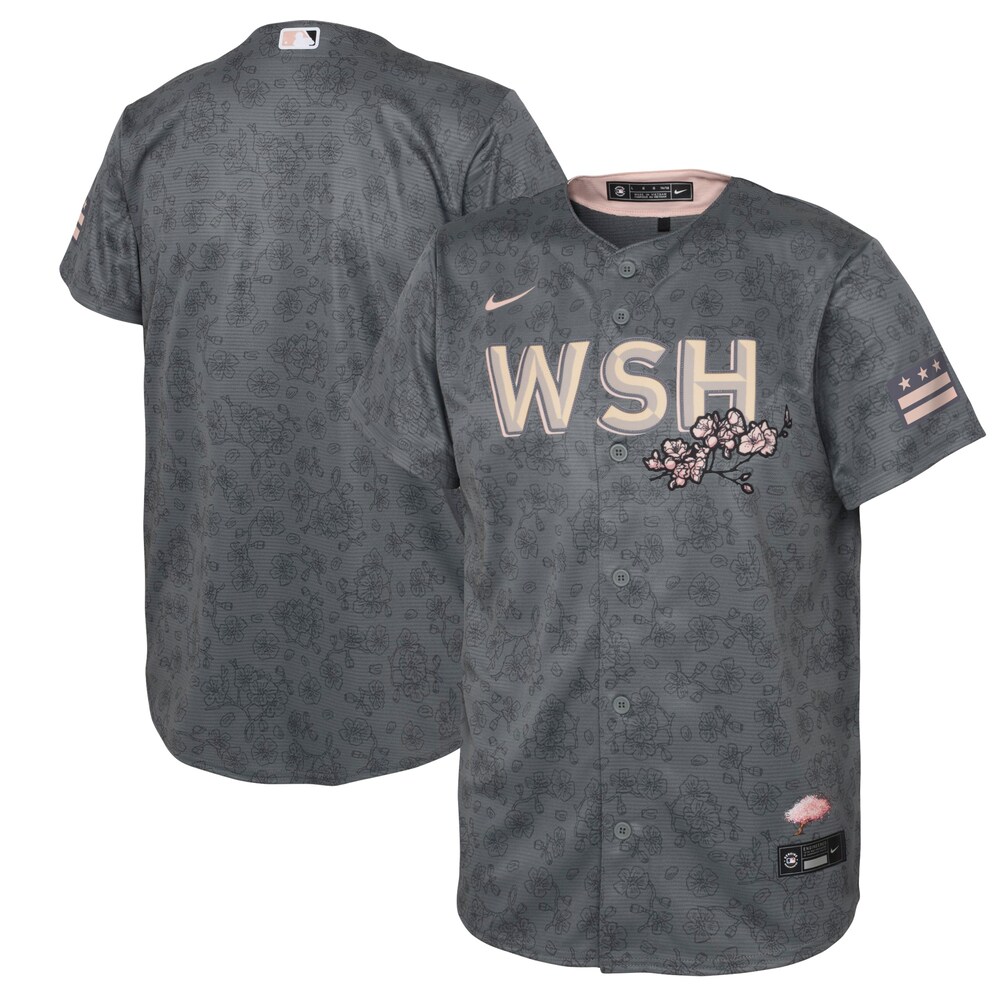 Washington Nationals Nike Infant 2022 City Connect Replica Jersey - Gray